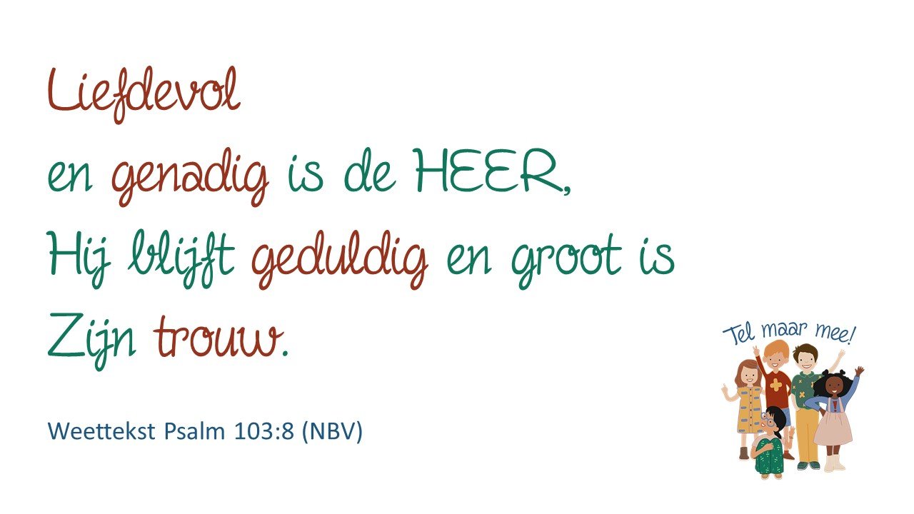 VBW Weettekst voor de beamer VBW Weettekst voor de beamer